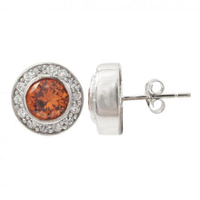 Load image into Gallery viewer, DLF Sterling Silver Post Earrings