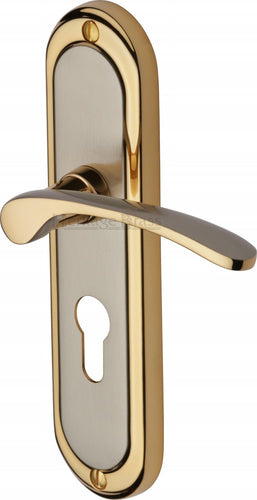 Heritage Brass Door Handle for Euro Profile Plate Ambassador Design Jupiter finish