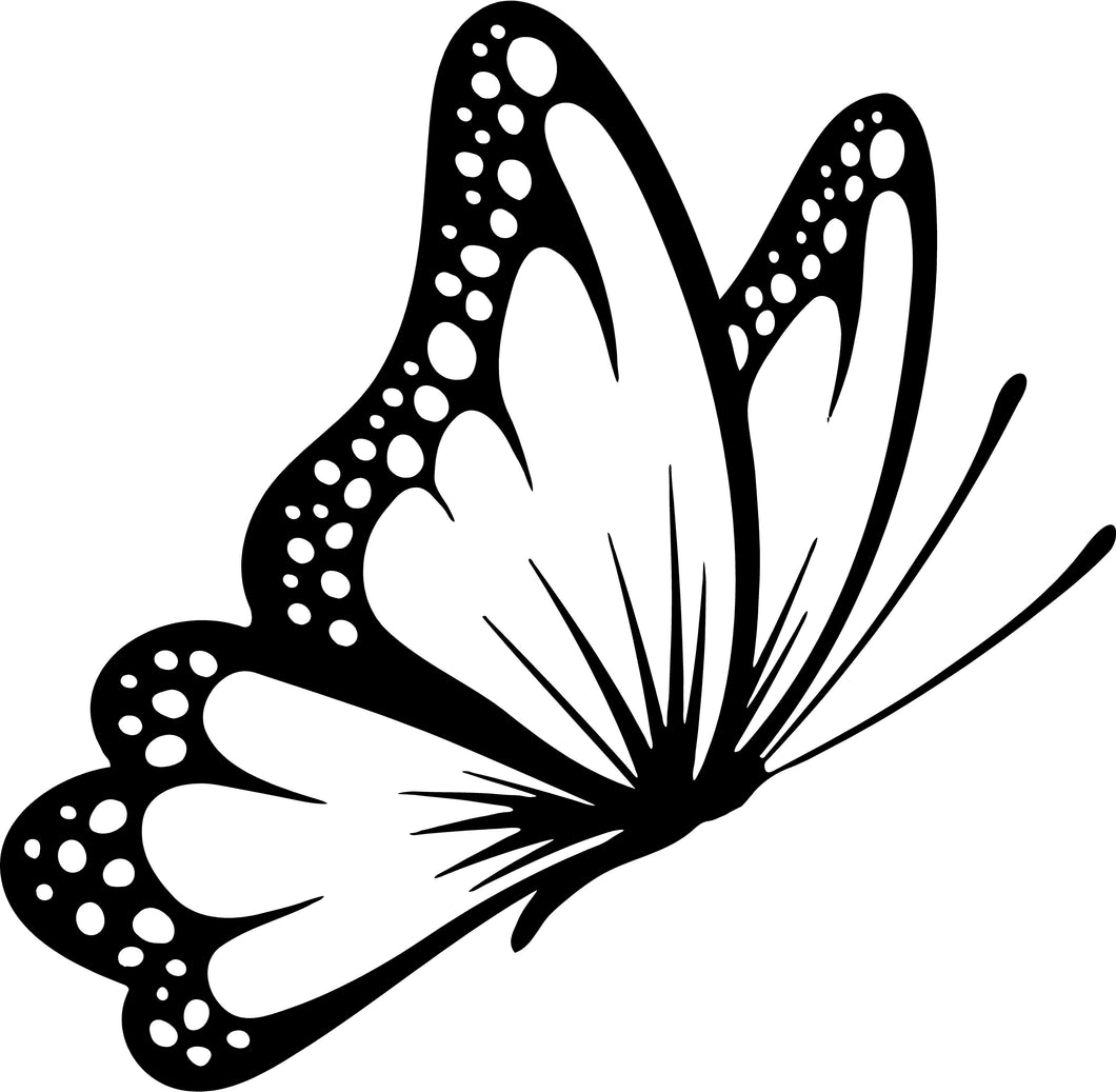 Butterfly8