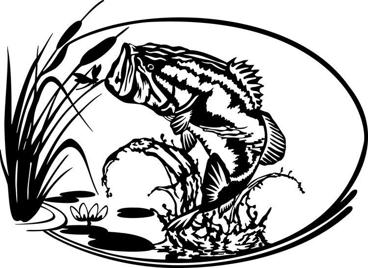 FishcattailswaterDragonfly