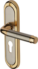 Load image into Gallery viewer, Heritage Brass Door Handle for Euro Profile Plate Saturn Design