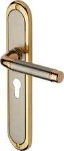 Load image into Gallery viewer, Heritage Brass Door Handle for Euro Profile Plate Saturn Long Design