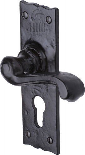 The Tudor Door Handle for Euro Profile Plate Shropshire Design