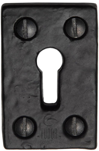 The Tudor Rectangluar Keyhole Escutcheon