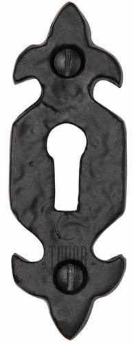 The Tudor Keyhole Escutcheon