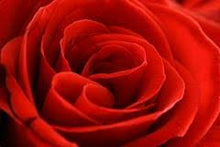 Load image into Gallery viewer, red